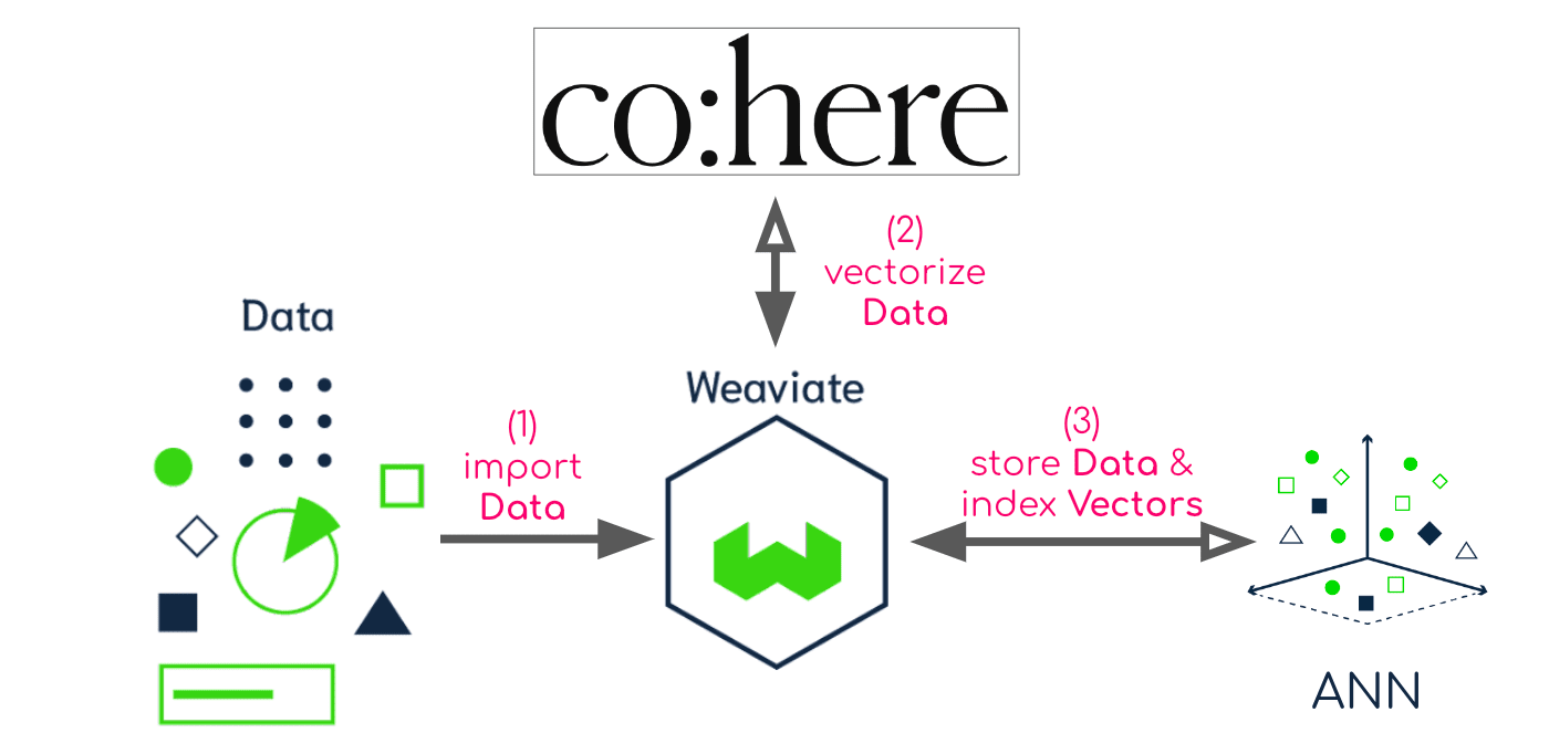 使用Cohere导入Weaviate