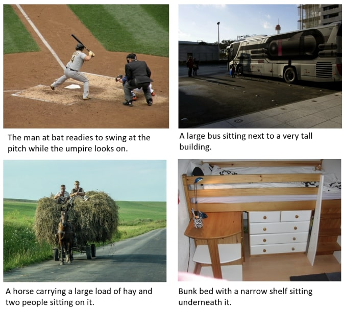 MS COCO图像字幕数据集